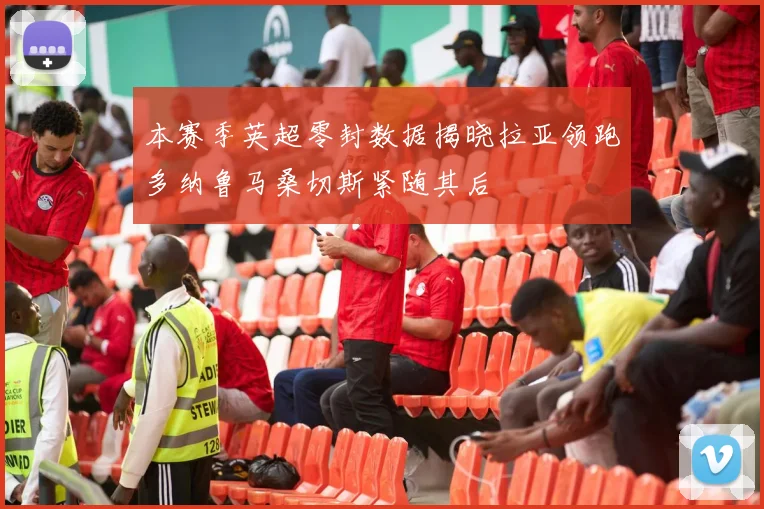本赛季英超零封数据揭晓拉亚领跑多纳鲁马桑切斯紧随其后