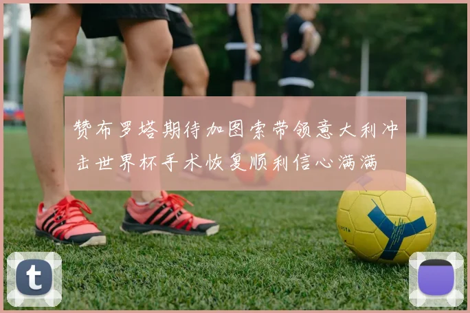 赞布罗塔期待加图索带领意大利冲击世界杯手术恢复顺利信心满满